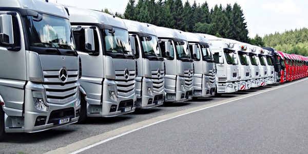 Gestione el tráfico de plantas con geoCapture