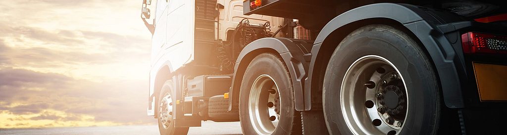 Retirada de animales muertos