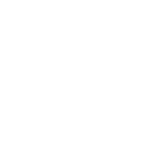 Icono de geonardo.ai®
