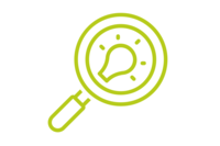 Visibilidad total con localización de vehículos por GPS