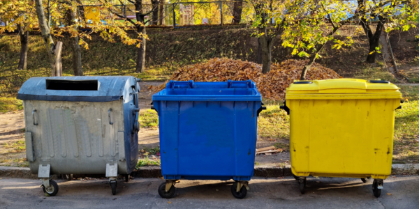 Contenedor vacío Gestión de contenedores