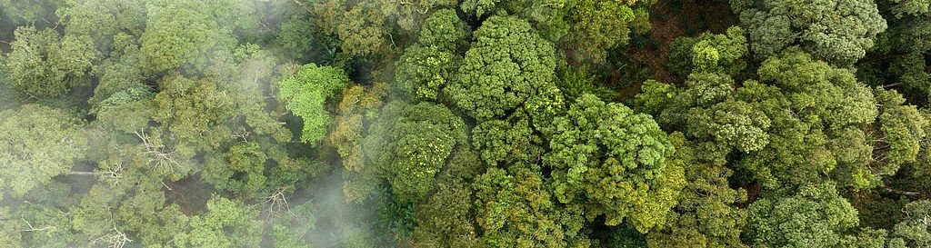 Controle las emisiones de CO2 con CO2control.